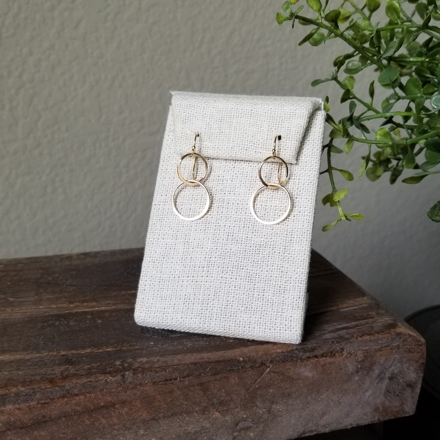 Double Linked Circle Earrings